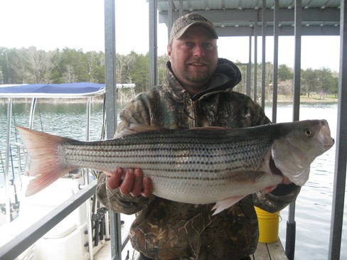 Nice Striped Bass
